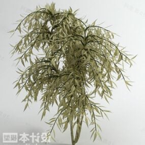 Modelo 3d de árvore japonesa de folhas pequenas