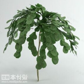 Modelo 3d de árvore de folha redonda