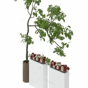 庭の小さな鉢植えの植物3Dモデル