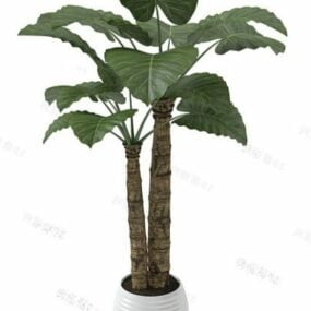 Modelo 3d de planta em vaso de folha grande