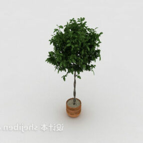 装飾的な葉の鉢植えの植物3Dモデル