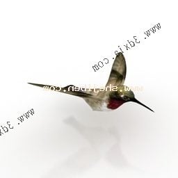 Pájaro carpintero modelo 3d