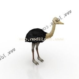 Model 3d Bayi Burung Unta