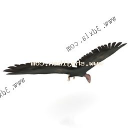 Vulture 3d model