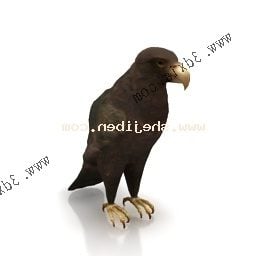 Model 3D czarnego ptaka wrony