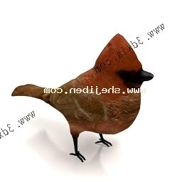 Red Wrens 3d model