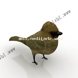 Yellow Wrens 3d model
