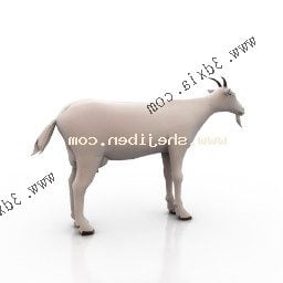 Animal de chèvre mâle à corne réaliste modèle 3D