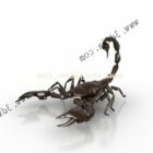 Scorpion Wild Animal
