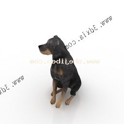 Wild Black Dog 3d model