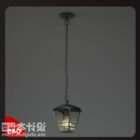 鉄の鎖が付いている天井の台紙の屋外ランプ