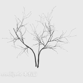 Home Trikets Dry Branches 3d-malli