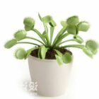 Indoor Small Leaf Potted Plant
