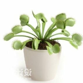 3D model pokojové hrnkové rostliny s malými listy