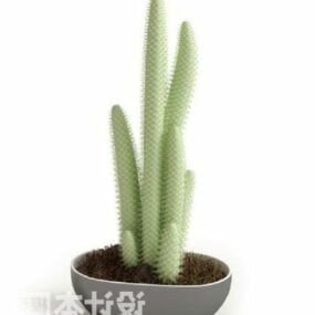 Plante en pot de cactus modèle 3D