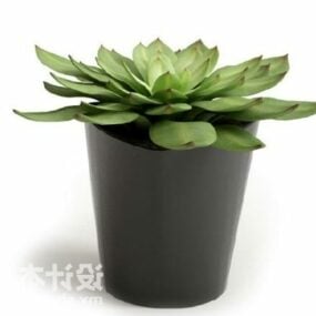 Small Cactus Potted Plant 3d model