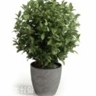 Modello 3d di piante in vaso.