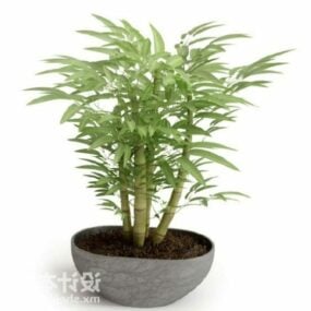 3D-Modell einer kleinen Bambus-Topfpflanze