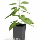 Model 3d tanaman pot.