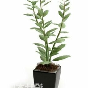 Modello 3d di pianta verde in vaso per ufficio interno