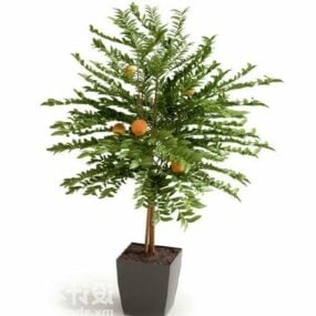 Interieur Ingemaakte Pine Plant 3D-model
