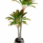 Hrnková rostlina, malá palma