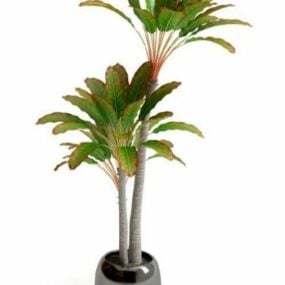 Ruukkukasvi, pieni palmu 3d-malli