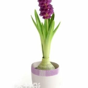 Purple Flower Potted Plant 3d model