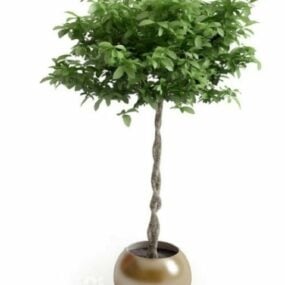 Sphere Potted Plant 3D-malli