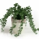 Potted Plant Ivy Tree