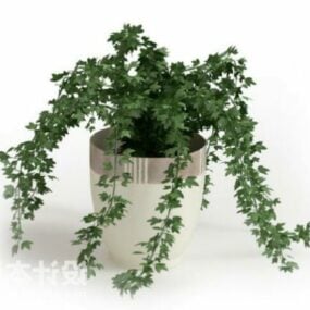 Potted Plant Ivy Tree 3d model