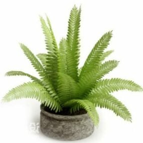 Modelo 3d de folha pequena de palmeira em vaso