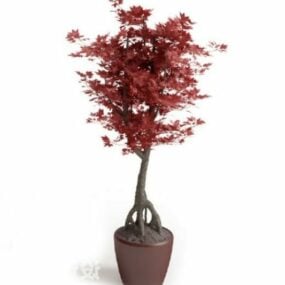 Plante en pot feuille rouge modèle 3D
