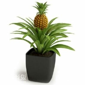 Potted Plant Pineapple Tree 3d model