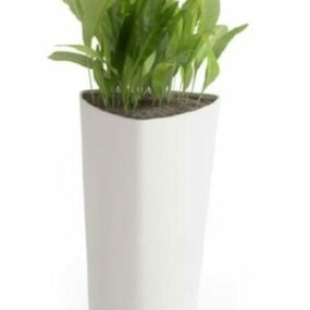 Potted Plant White Porcelain Vase 3d model