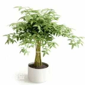 Bonsai Saksı Bitki Ağacı Dekorasyonu 3d modeli