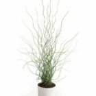 Potted Plant Branches Shaped Decoration