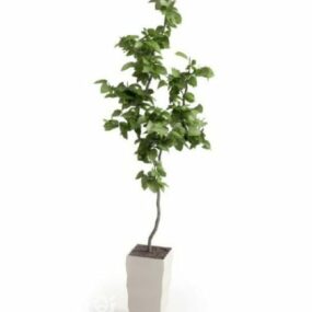 Modello 3d della decorazione dell'ufficio della pianta in vaso del piccolo albero