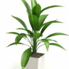 Potted Plant Green Leaf Tree Decoration