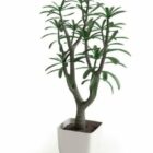 화분에 심은 식물 3d 모델.
