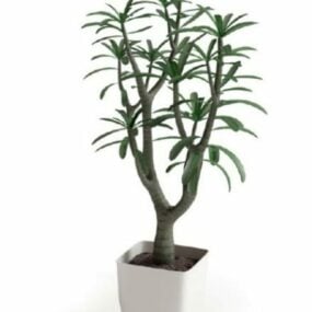 Modello 3d della decorazione dell'albero dei bonsai della pianta in vaso