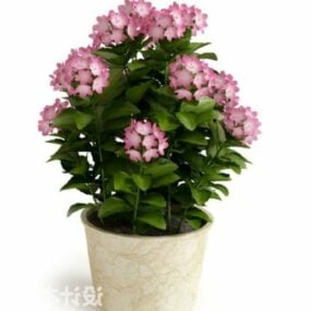 Potted Plant Pink Flower Tree Decoration 3d model