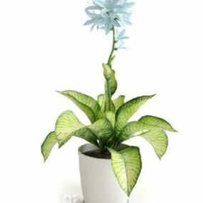 Saksı Bitki Mavi Çiçek Ağacı Dekorasyonu 3D model