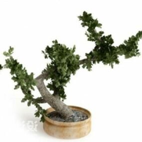 Vaso de plantas japonesas bonsai árvore decoração modelo 3D