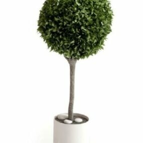 Ball Shaped Potted Plant Tree Decoration 3d model