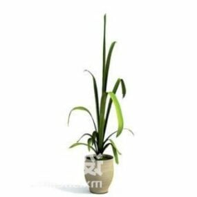 Indoor lange bladplant boomdecoratie 3D-model
