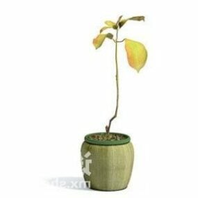 3д модель комнатного небольшого растения для украшения дерева