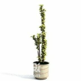Indoor Ivy Plant Tree Decoration 3d model
