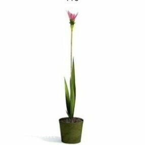 Kapalı Orkide Bitki Ağacı Dekorasyonu 3d modeli