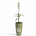 Indoor Plant 3d Model Download.